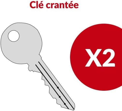 |Resigilat| THIRARD încuietoare filetată pentru cutie poștală, grosime max. 23 mm, alamă, 2 chei din oțel nichelat, gri