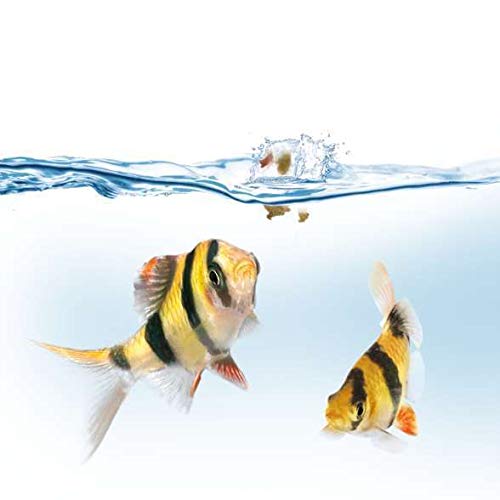 Resigilat|Juwel Aquarium 89000 EasyFeed alimentator automat pentru acvariu