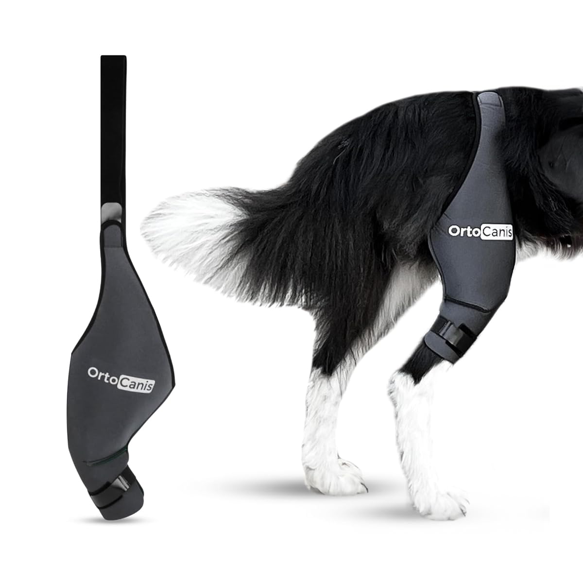 Resigilat|Ortocanis genunchiera pentru caini, picior posterior stang, neopren ARD, pentru leziuni ligamentare, luxatie rotuliana si osteoartrita, Mini 15-16 cm