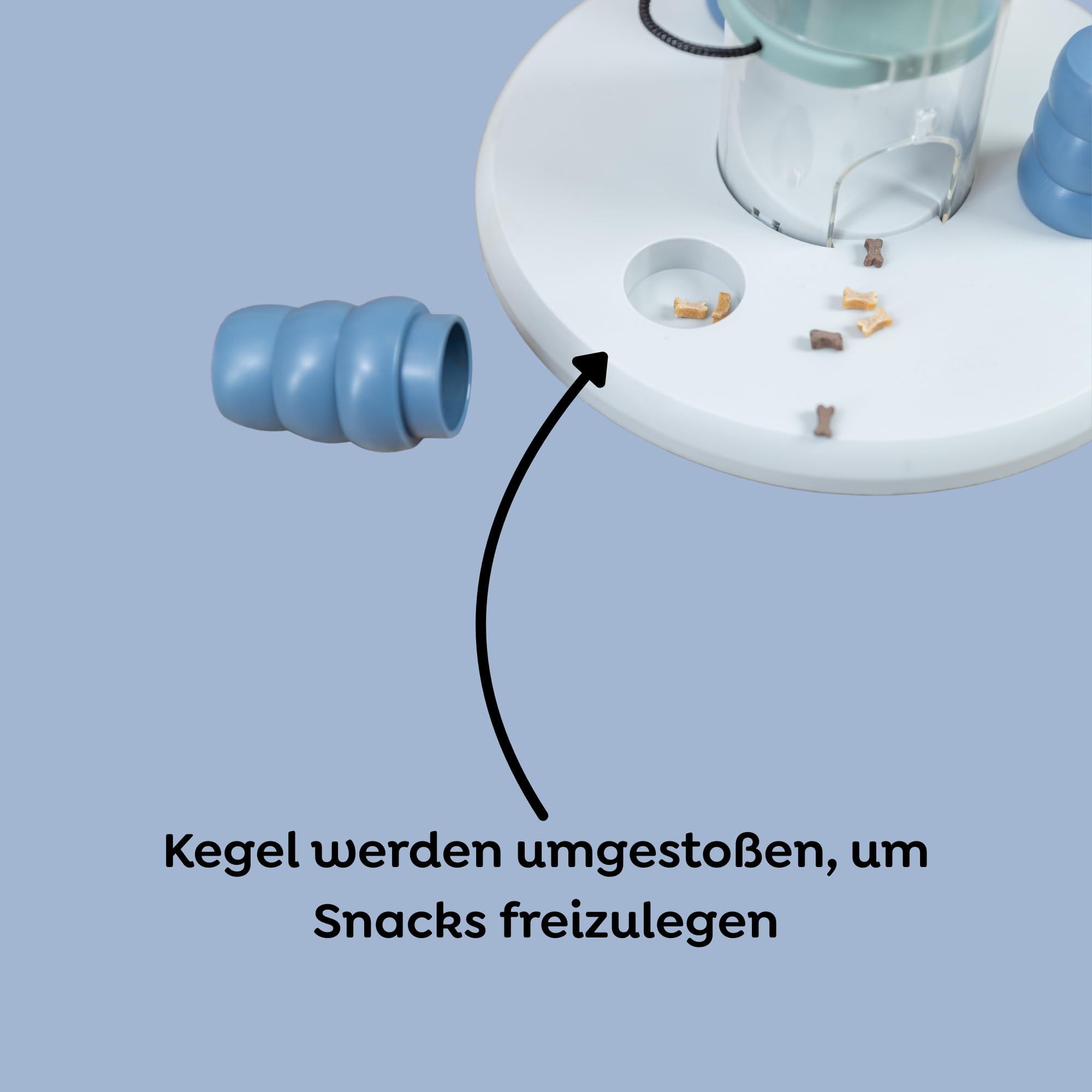 Text alternativ imagine