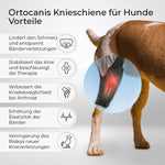 Resigilat|Ortocanis genunchiera pentru caini, picior posterior stang, neopren ARD, pentru leziuni ligamentare, luxatie rotuliana si osteoartrita, Mini 15-16 cm