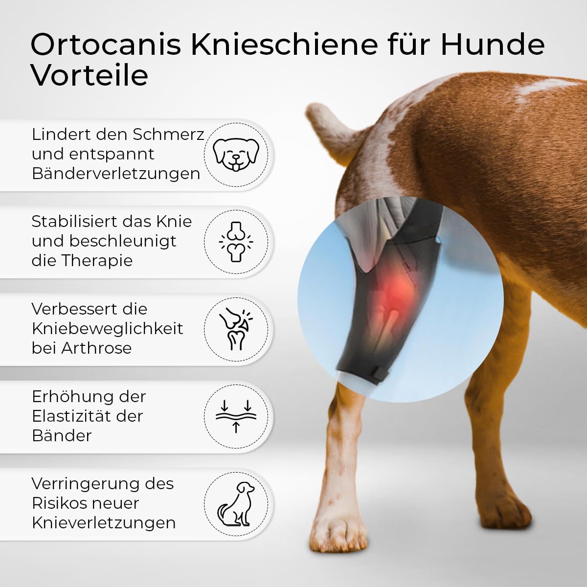 Resigilat|Ortocanis genunchiera pentru caini, picior posterior stang, neopren ARD, pentru leziuni ligamentare, luxatie rotuliana si osteoartrita, Mini 15-16 cm