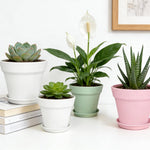 Resigilat|KINGLAKE Ghivece 10 cm cu Farfurioare - Set 8 Bucati, Ghivece Plastic pentru Plante, Cactusi si Ierburi, Multicolor