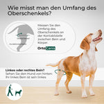 Resigilat|Ortocanis genunchiera pentru caini, picior posterior stang, neopren ARD, pentru leziuni ligamentare, luxatie rotuliana si osteoartrita, Mini 15-16 cm