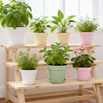 Resigilat|KINGLAKE Ghivece 10 cm cu Farfurioare - Set 8 Bucati, Ghivece Plastic pentru Plante, Cactusi si Ierburi, Multicolor