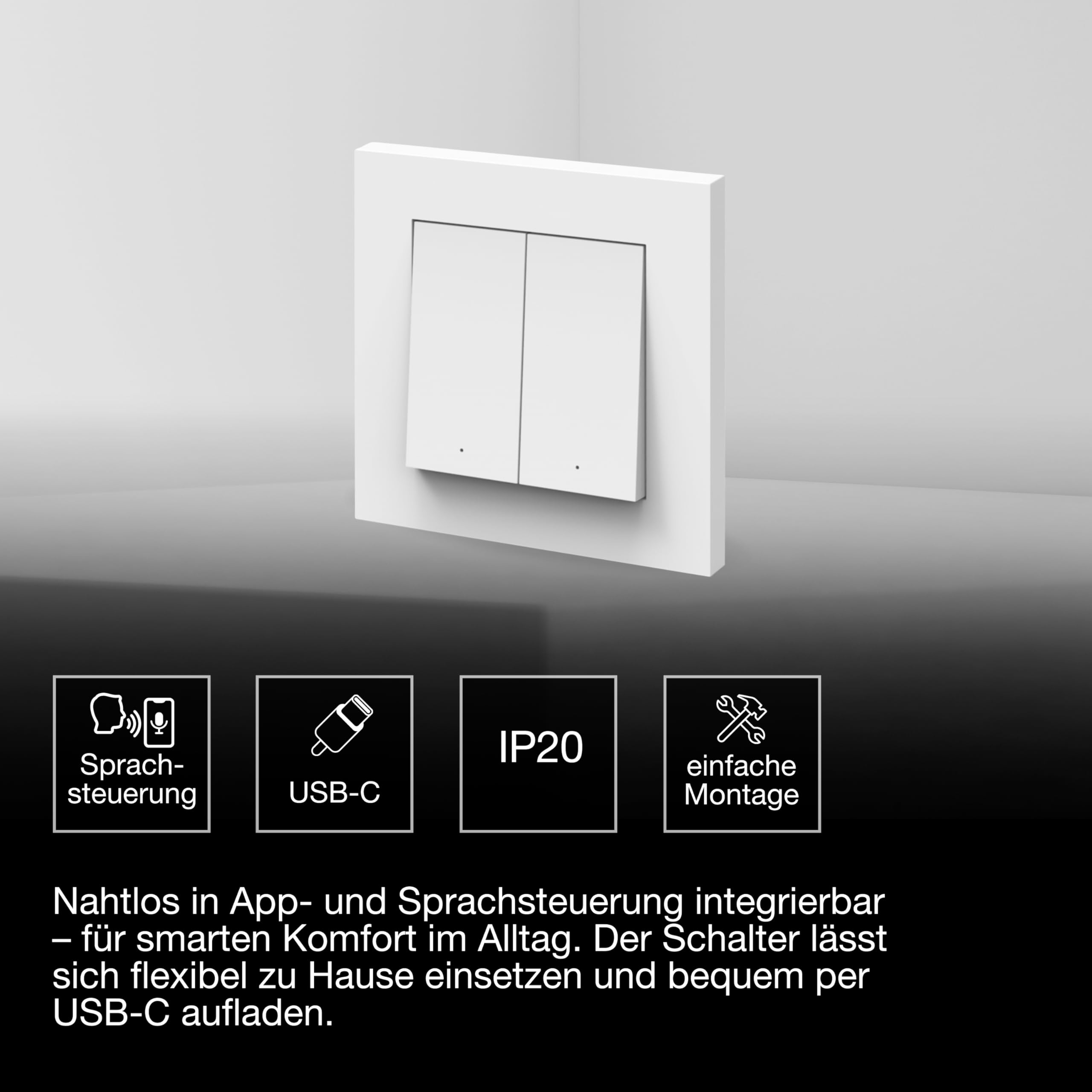 Text alternativ imagine