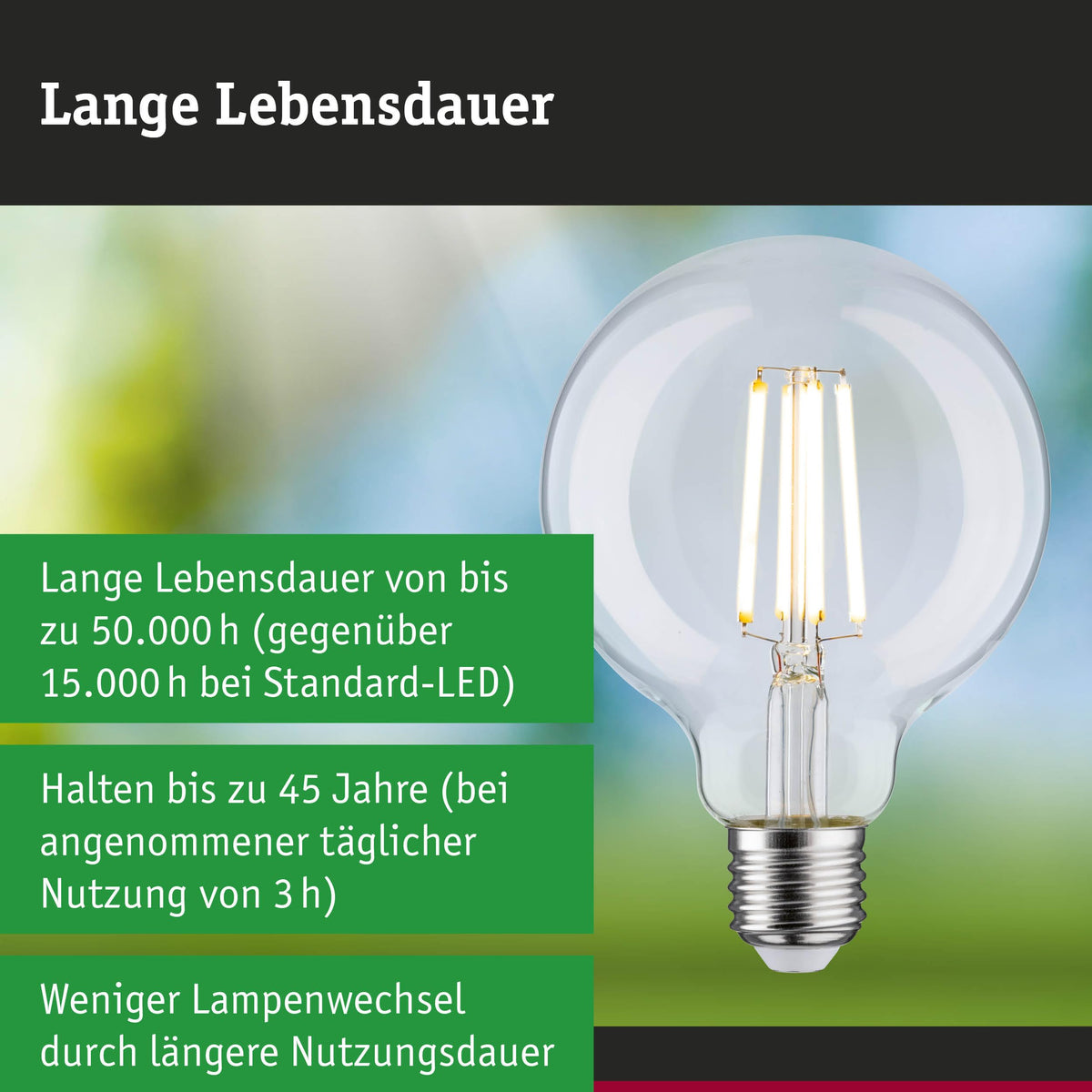 Resigilat|Paulmann LED Efficient-Line Globe E27, 4W, 840lm, 3000K, transparent