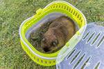 Resigilat|TRIXIE Pico cutie de transport pentru animale mici, culori asortate, 23 x 16 x 17 cm