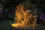 Resigilat|Paulmann Plug & Shine LED spot de gradina Sting, set, antracit