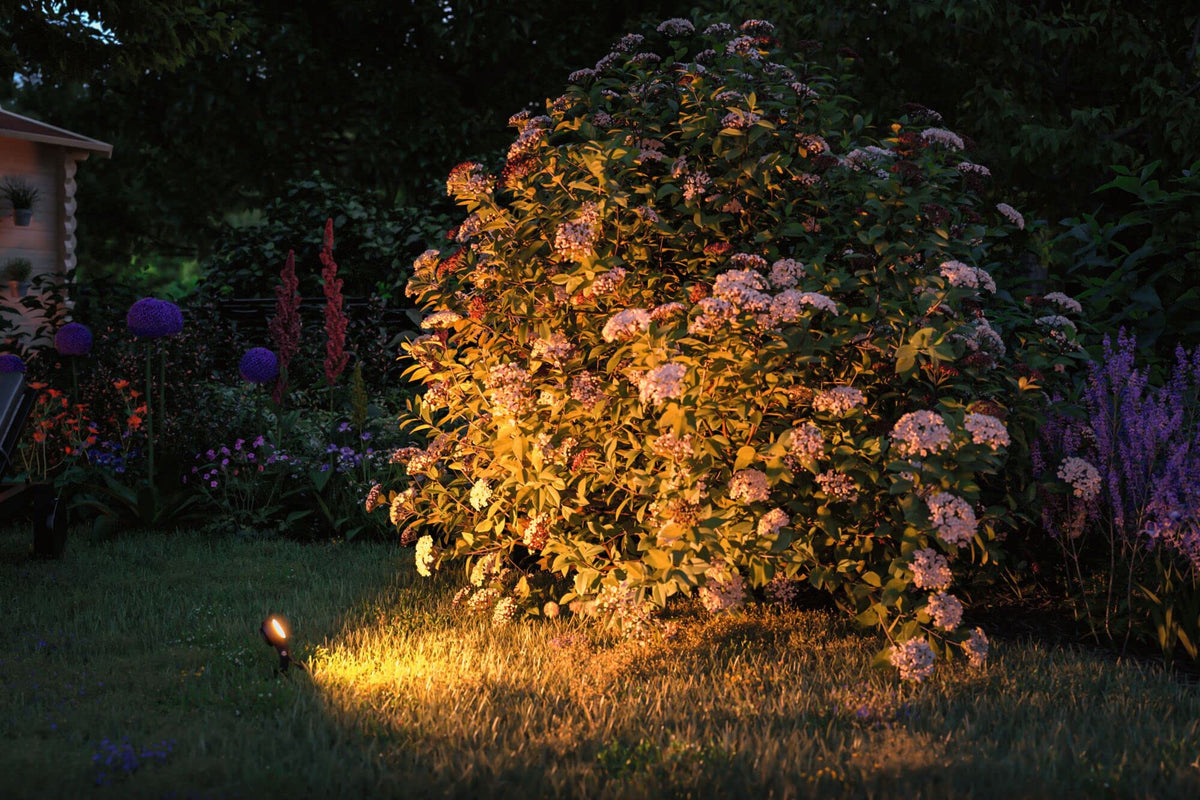 Resigilat|Paulmann Plug & Shine LED spot de gradina Sting, set, antracit