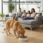 Resigilat|Ecofocet bol anti-inghitire pentru caini, 800 ml, 20 cm, ceramica, Slow Feeder antiderapant, pentru caini medii si mari