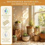 Resigilat|6 Decoratiuni Cristal pentru Ghivece, Suncatcher, Luna, Stea, Fluture si Inima, Prisme, Efecte de Lumina