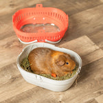 Resigilat|TRIXIE Pico cutie de transport pentru animale mici, culori asortate, 23 x 16 x 17 cm