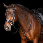 Resigilat|Imperial Riding Chambon IRH Core, ajutor de antrenament pentru cai din piele, negru, marimea Full
