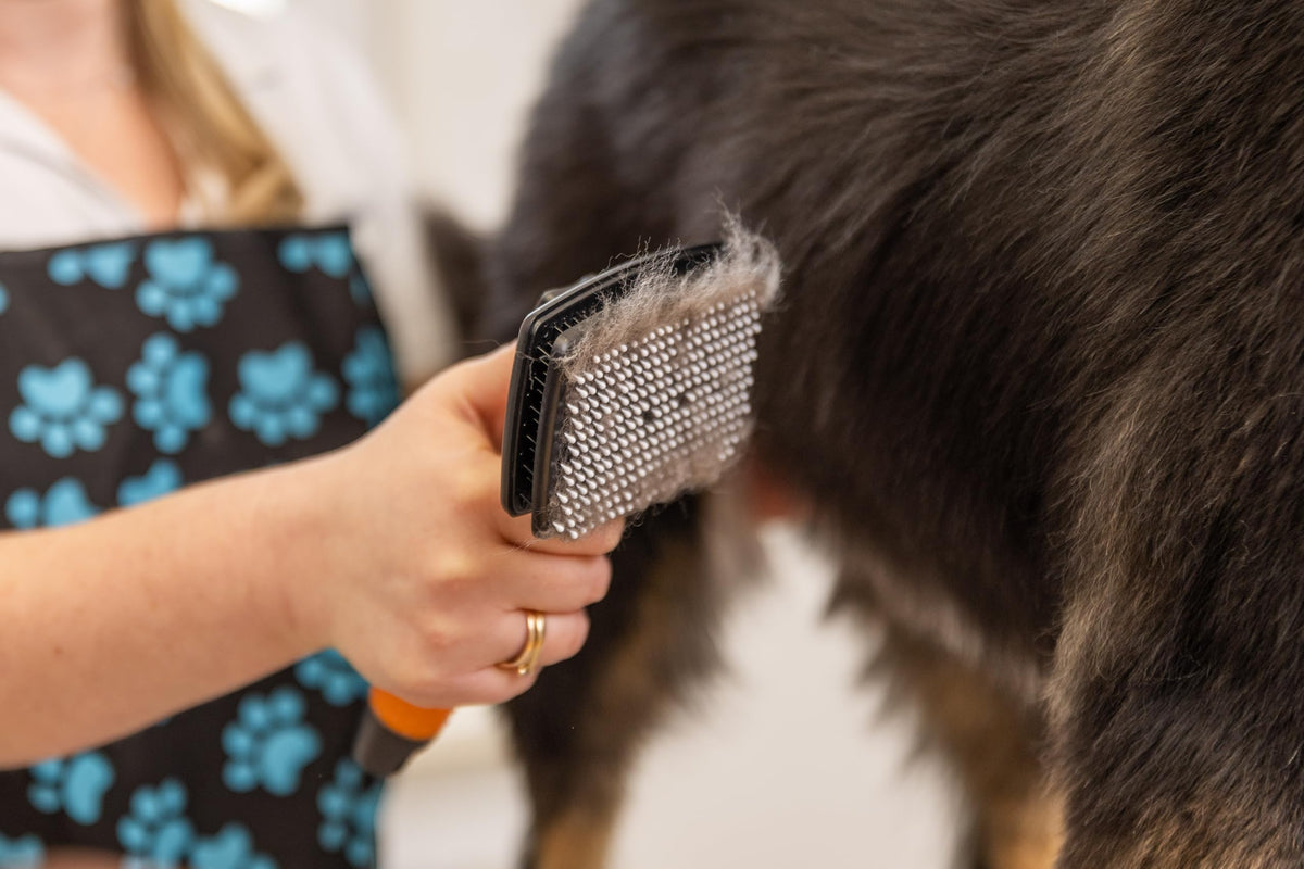 Resigilat|Wahl perie Slicker mica, cu autocuratare, pentru animale de companie cu piele sensibila