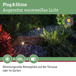 Resigilat|Paulmann 93997 Plug & Shine Plantini Spot 3000K, 1,4W, 24V, 40°, Antracit, Corp Iluminat Exterior pentru Gradina