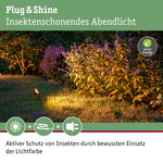 Resigilat|Paulmann Plug & Shine LED spot de gradina Sting, set, antracit